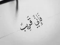 غصن الزيتون