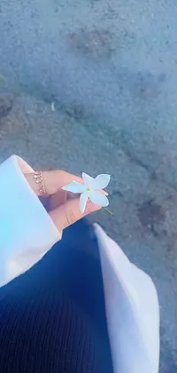 احمد محمد