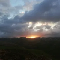 قاسم الدعجه