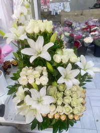 ناصر يوسف محمد النمروطي  النمروطي 