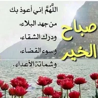 tamer tamer