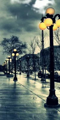 نور غيث
