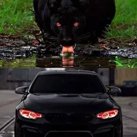 Nissan ‏Patrol ‏LE Platinum ‏2014