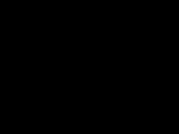 عمر الزعبي