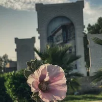 كيا ‏K5 ‏EX ‏2021
