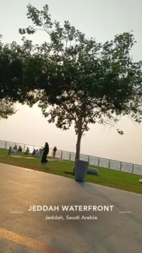 أبل ‏ايفون 17 برو ماكس ‏1 تيرابايت ‏برتقالي