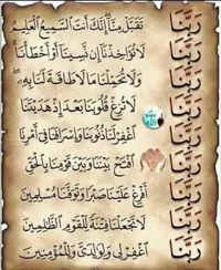 ابراهيم الشوبكي