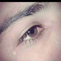 عبود ألانيق