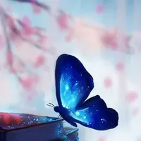 هيونداي سوناتا Sport 2012