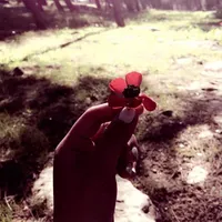 منتهى الجيلاني