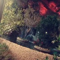 ابو يوسف