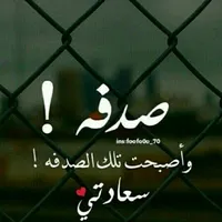 فورد ‏فوكس ‏Standard ‏2004