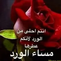 Yazan920 Y Y Y