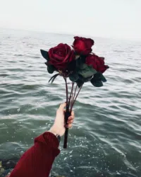 أميرة فهمي عبدالله  خذابخش