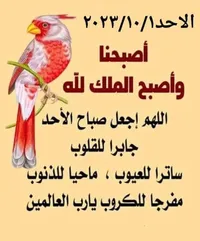 عماد