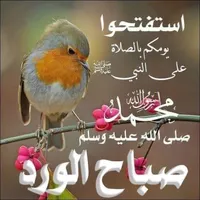 ابو يزيد