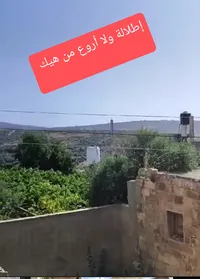 مأمون برهم        0599917040