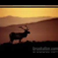 سامسونج ‏جالاكسي  Z فولد6 ‏256 جيجابايت ‏رمادي
