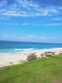 عمران طه