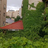 معاذ