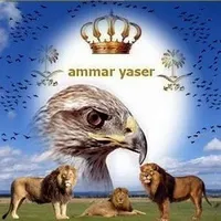 عمار ياسر