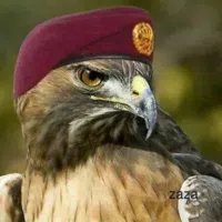 سوزوكي ‏فرونكس ‏Standard ‏2025
