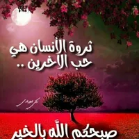 عبدالقادر سليم