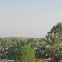 أبل ‏ايفون 16e ‏128 جيجابايت ‏أسود