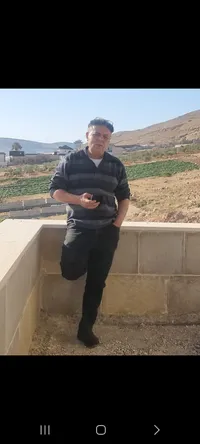 نجاة شولي