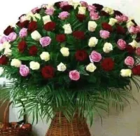 General Maintenance - Building Maintenance -Tulkarm