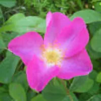 dc7c3f1f-6d1f-415e-8ea4-debd4eb640ea