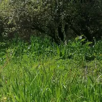 سامسونج ‏جالاكسي A73 5G ‏256 جيجابايت ‏رمادي