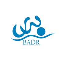 Badr International Services
