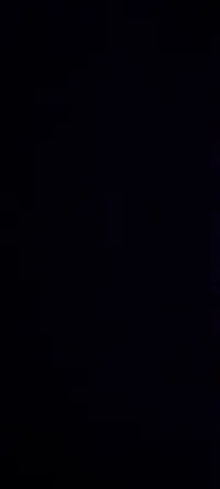 مجاهد أبوزينه