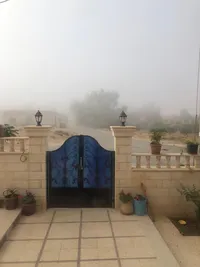 حسام جمجوم