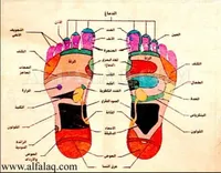 el دا