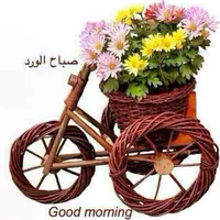 أبل ‏ايفون 11 ‏512 جيجابايت ‏أسود