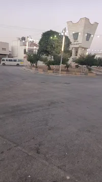محمد  محمد 