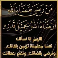 فورد ‏اسكايب ‏Active ‏2008