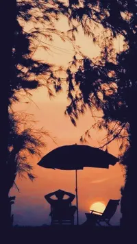عودة  بياتنة