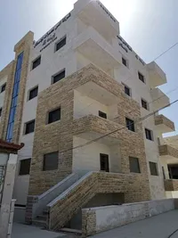 سلمى نصر
