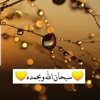 طارق السويلميين