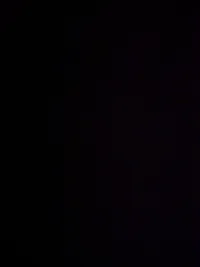 فيصل  الخطيب