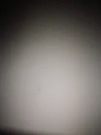 زين