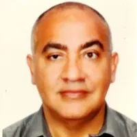 وائل  محمود