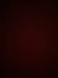 زها  الخلايله 