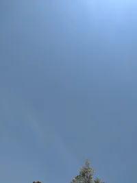 يوسف