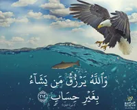 معوض ابو يوسف الحارثي