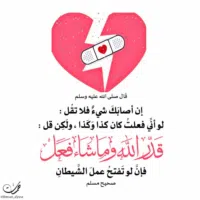 محمد عبد الغفار   ابوحجله