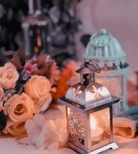 هبه شهاب